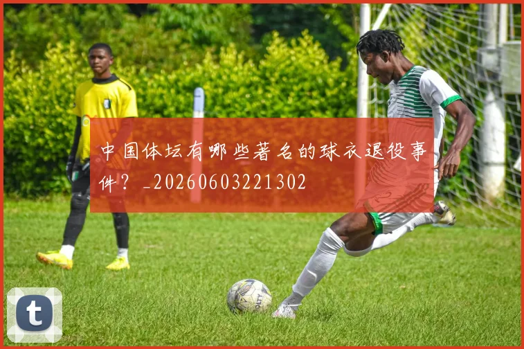 中国体坛有哪些著名的球衣退役事件?_20260603221302