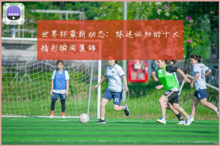 世界杯最新动态:球迷必知的十大精彩瞬间集锦