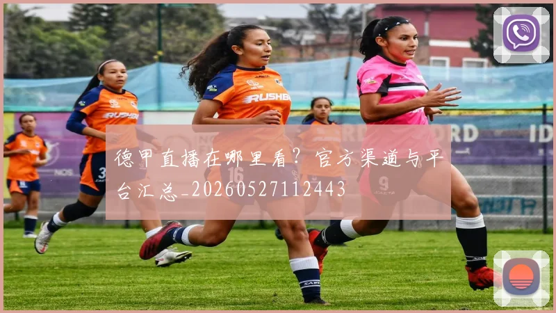 德甲直播在哪里看?官方渠道与平台汇总_20260527112443